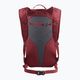 Salomon Trailblazer 10 l hiking backpack Aura Orange/Biking Red LC2059500 8