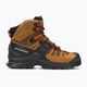 Salomon Quest 4 GTX men's trekking boots brown L47156400 2