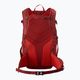 Salomon Trailblazer 30 l hiking backpack dahlia/high risk red 2