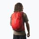 Salomon Trailblazer 30 l hiking backpack dahlia/high risk red 3