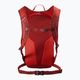 Salomon Trailblazer 10 l hiking backpack dahlia/high risk red 2