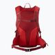 Salomon Trailblazer 20 l hiking backpack dahlia/high risk red 2