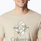 Columbia Rapid Ridge Graphic men's trekking shirt beige 1888813273 3