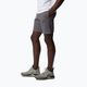 Men's Columbia Logo Fleece grey trekking shorts 1884601023 3