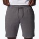 Men's Columbia Logo Fleece grey trekking shorts 1884601023 5