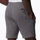 Men's Columbia Logo Fleece grey trekking shorts 1884601023 6