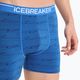 Men's thermal boxer shorts icebreaker Anatomica lazurite/midnghtnvy/aop 5