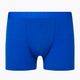 Icebreaker men's boxer shorts Anatomica Cool-Lite 001 blue IB1052465801