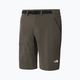 Men's hiking shorts The North Face Speedlight green NF00A8SF21L1 8
