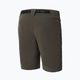 Men's hiking shorts The North Face Speedlight green NF00A8SF21L1 9