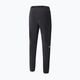 Men's trekking trousers The North Face Circadian grey NF0A558EY0K1 10