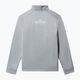 Men's fleece sweatshirt The North Face MA 1/4 Zip light grey NF0A5IESGAU1 10
