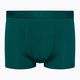 Men's thermal boxer shorts icebreaker Anatomica Cool-Lite green 105223