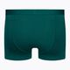 Men's thermal boxer shorts icebreaker Anatomica Cool-Lite green 105223 2