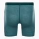 Icebreaker Anatomica Greenglory men's thermal boxer shorts 103029 2
