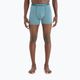 Icebreaker Anatomica Greenglory men's thermal boxer shorts 103029 4