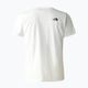 Men's trekking t-shirt The North Face Foundation Graphic white NF0A55EFQ4C1 2