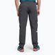 Men's trekking trousers The North Face AO Winter Reg Tapered grey NF0A7X6F0C51 4