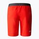 Men's trekking shorts The North Face AO Woven red NF0A5IMM15Q1 2