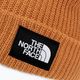 The North Face Salty cap orange NF0A3FJW6R21 3
