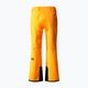 Men's ski trousers The North Face Chakal orange NF0A5IYV78M1 6