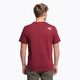 Men's trekking shirt The North Face Easy red NF0A2TX36R31 4