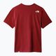 Men's trekking shirt The North Face Easy red NF0A2TX36R31 9