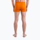 Men's thermal boxer shorts icebreaker Anatomica Cool-Lite earth 4