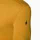 Men's Smartwool Merino 250 Baselayer Crew Boxed honey gold thermal T-shirt 5