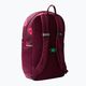 The North Face Court Jester 24.6 l boysenberry next gen logo print/mr.pink/white children's hiking backpack 2