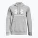 Under Armour women's sweatshirt Rival Fleece Big Logo Hoody mod gray light heather/white 5