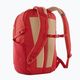 Patagonia Refugio Day Pack 26 l touring red backpack 3