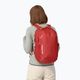 Patagonia Refugio Day Pack 26 l touring red backpack 4