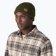 Patagonia winter beanie Brodeo Beanie 73 skyline/pine needle green 2