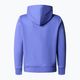 Children's sweatshirt The North Face Drew Peak Light Hoodie dopamine blue 2