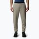 Men's The North Face Mountain Athletics Fleece trousers clay grey/cavern grey