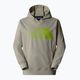 Men's sweatshirt The North Face Tekno Logo Hoodie clay grey 4