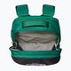 The North Face Borealis 28 l evergreen/black hiking backpack 4