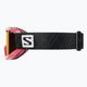 Salomon Juke Access pink/tonic orange children's ski goggles L39137500 8