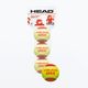 HEAD Tip children's tennis balls 3 pcs red/yellow 578113 2