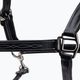 Leather halter for horse Prestige Italia black E53 3