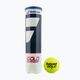 Babolat Gold Championship tennis balls 4 pcs yellow 502082