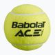Babolat Ace Padel balls 3 pcs yellow 501104 2