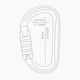 Petzl Am'D Triact-Lock carabiner gold M34A TLY 2