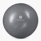 Sveltus Gymball grey 0440 65 cm