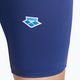 Men's arena Icons Swim Panel Jammer navy/blue cosmo/white/red fandango 6