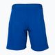Tecnifibre Stretch blue children's tennis shorts 23STRE 2