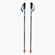 Dynastar Speed ski poles blue DDJ1030