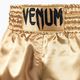 Men's Venum Classic Muay Thai shorts black and gold 03813-449 4
