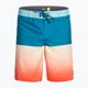Men's Quiksilver Everyday Five swim shorts EQYBS04676-BRN6